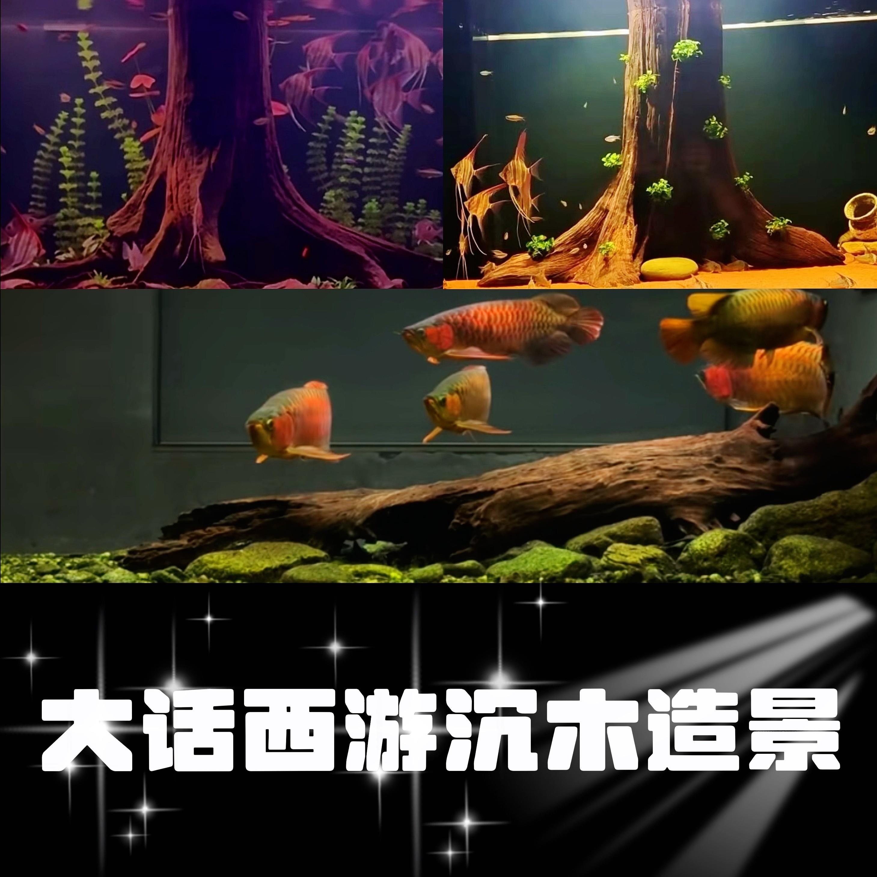 沉木水族造景紫柚木鱼缸南美缸雨林缸庭院造景木枯木景观风化木