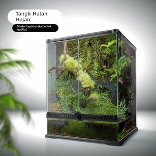 nomo诺摩爬宠雨林缸玻璃饲养箱角蛙蜥蜴箱守宫陆龟箱爬虫缸生