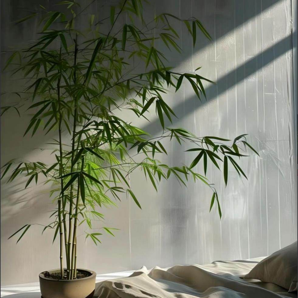 竹子仿真古风新中式竹林造景户外庭院展示民宿走廊装饰装饰假竹子,鲜花速递/花卉仿真/绿植园艺,仿真绿植,淘宝优惠券,粉丝福利购,淘宝优惠卷