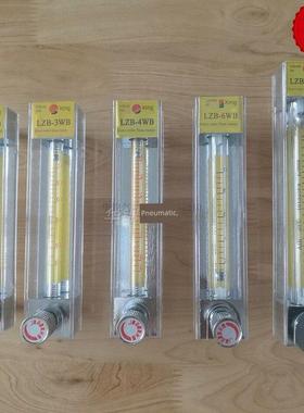 Lzb-2Wb/3Wb/4Wb/6Wb/10Wb玻璃转子短气液流量计