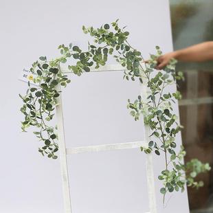 饰 绢花2米金钱叶尤加利叶子植物壁挂藤蔓婚庆装 仿真加密藤条花艺