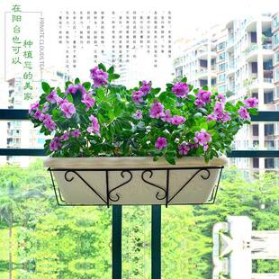 长方形阳台专用种菜盆种菜神器种植盆 爱丽丝花盆挂架花盆家用挂式