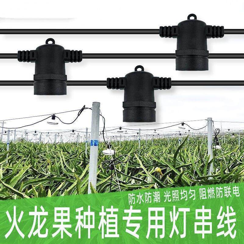 火龙果专用补光灯串线反季催熟画促植物生长补光灯蔬菜大棚百香果
