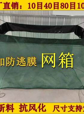 2022新款渔网全新料养殖龙虾网箱养鱼箱暂养膜小养虾泥鳅黄鳝网子
