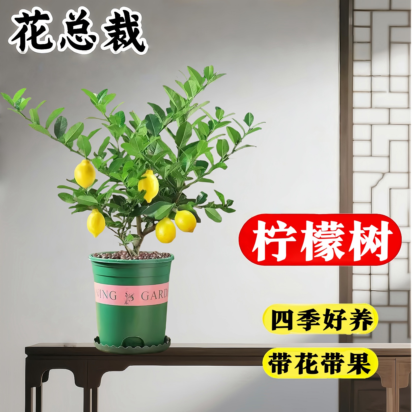 香水柠檬可食用柠檬树苗盆栽室内