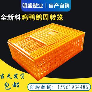 塑料鸡笼运输鸡筐鸡框周转成鸡箱鸭笼鸽笼鸭箱鹅箱家用运输笼
