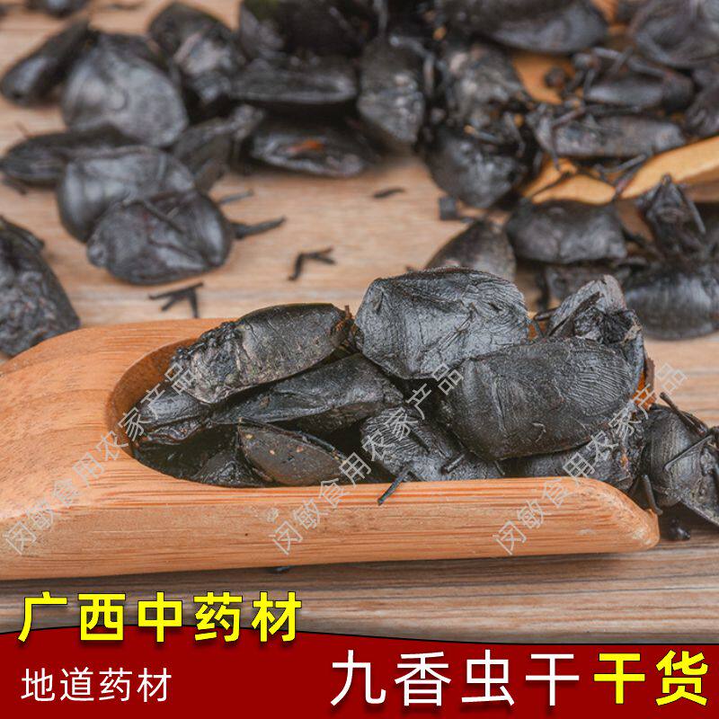 广西九香虫九九香虫干货黑兜虫屁巴虫黑瓜蝽屁板虫臭壳虫干中药材