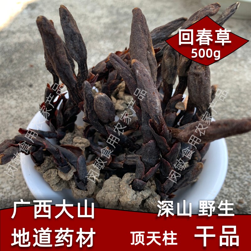 广西野生回春草顶天柱风流果阴阳子中药材泡水泡茶滋补泡酒料500g
