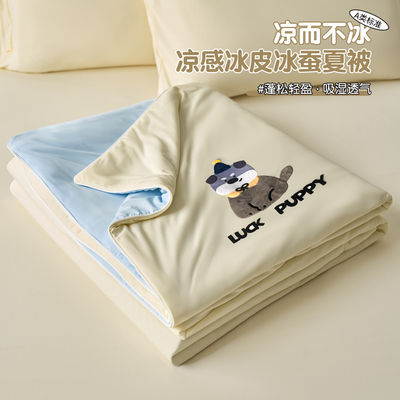 A类母婴级冰丝凉感机洗夏被