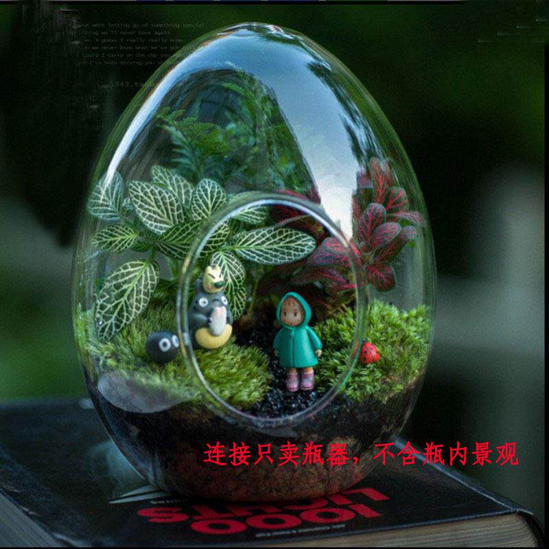 创意微景观蛋型玻璃花瓶多肉植物苔藓瓶DIY造景瓶小盆栽摆件透明