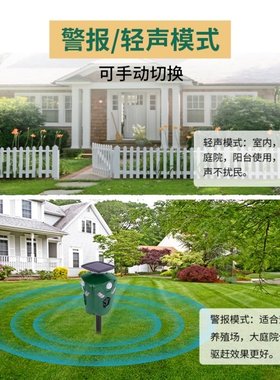 Pig dog artifacts high pJower ultrasonic beast outdoor anim