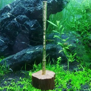 金箍棒鱼缸造景孙悟空定海神针沉木树墩底座齐天大圣摆件水族新品