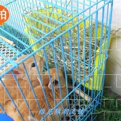 new timothy grass rabbit pasture hay guinea pig chinchillas