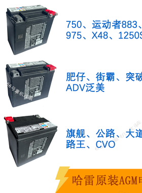 哈雷原厂电瓶883街霸X48肥仔运动者1250S滑翔750蓄电池摩托车正品
