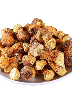 微神农净重干货姬松茸云南菌菇
