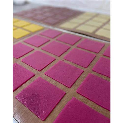 极速家用自制水果条模具肉脯卡通饼干定型工具瓦片酥饼巧克力diy