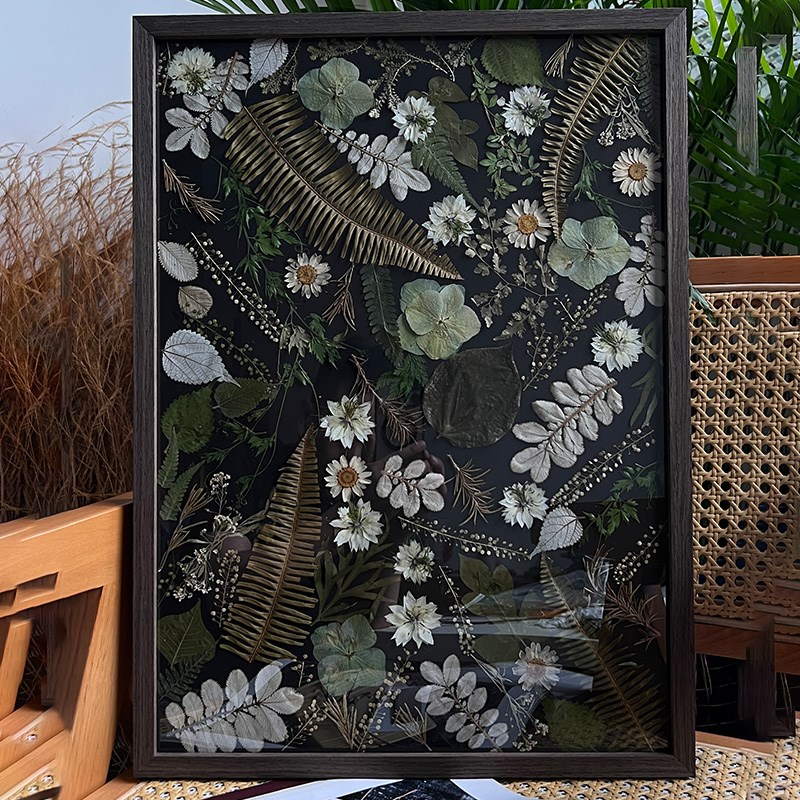 植物标本装饰画干花相框挂画树叶奇幻森林秘密花园九植可订制礼物图片