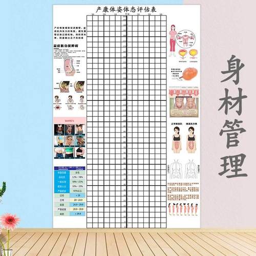 产后体姿体态评估系统墙贴壁画骨盆底肌产后康复评估表网格图壁纸