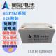 120 奥冠免维护胶体蓄电池12V24AH 200AH太阳能用 65安 100