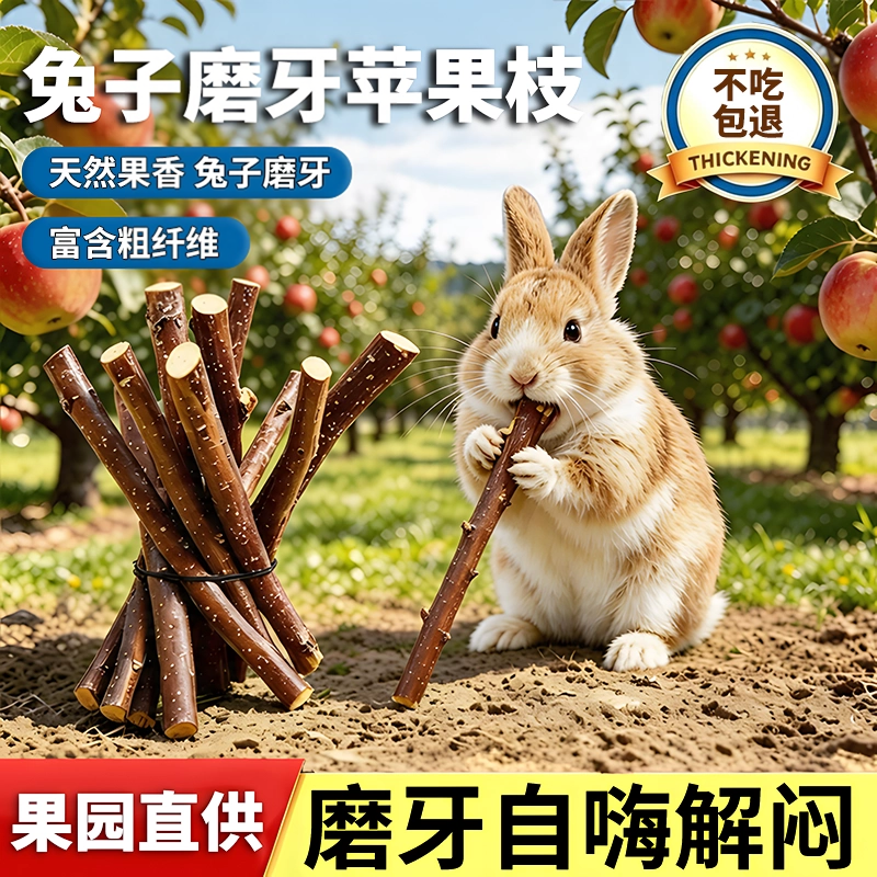 【兔子磨牙苹果枝】啃咬树枝零食
