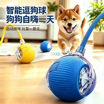 宠物智能遛狗球！猫咪狗狗玩具