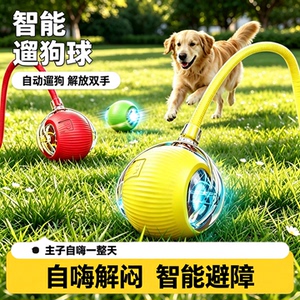 自动遛狗球狗狗玩具！智能可充电