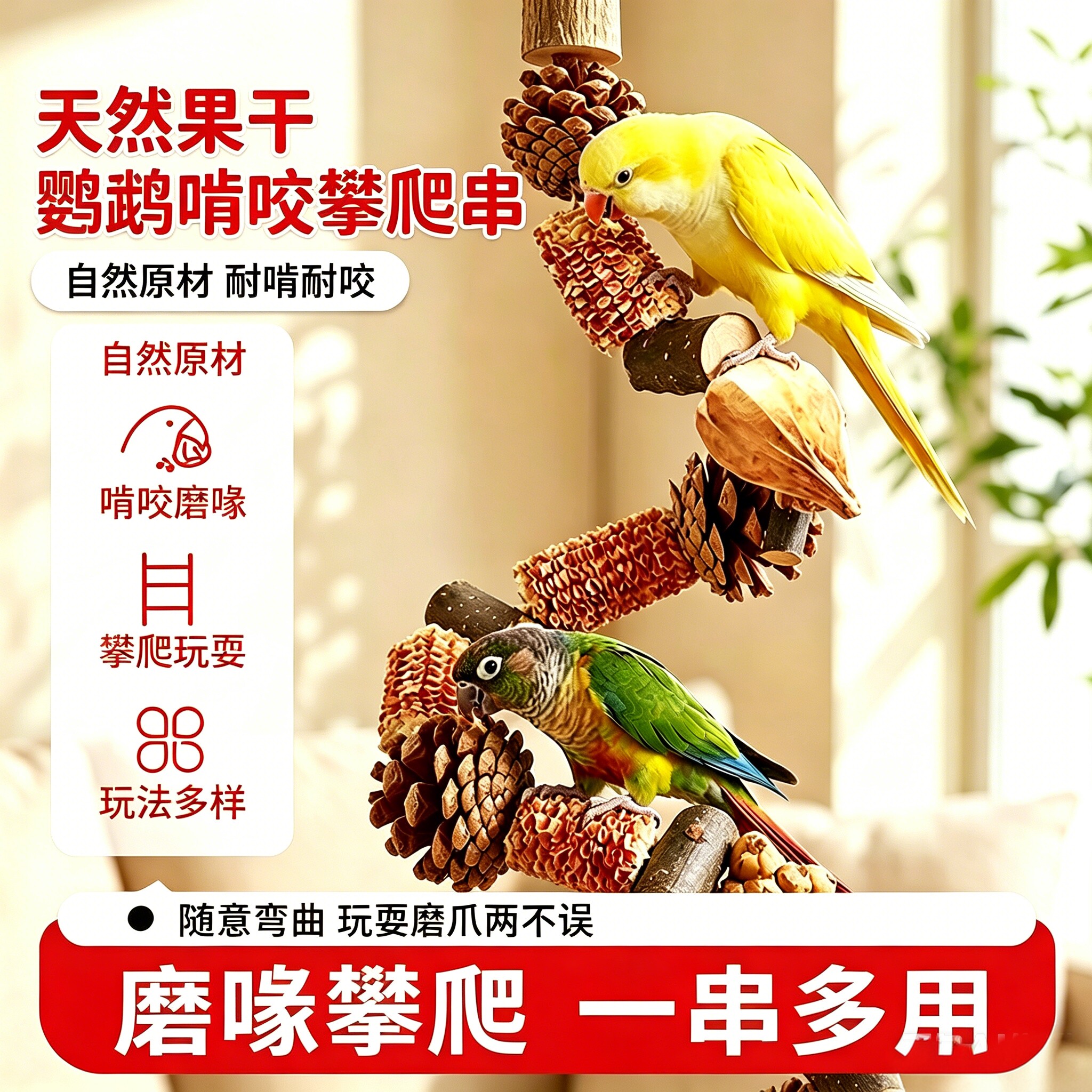 鹦鹉站杆啃咬玩具!鹦鹉磨喙串