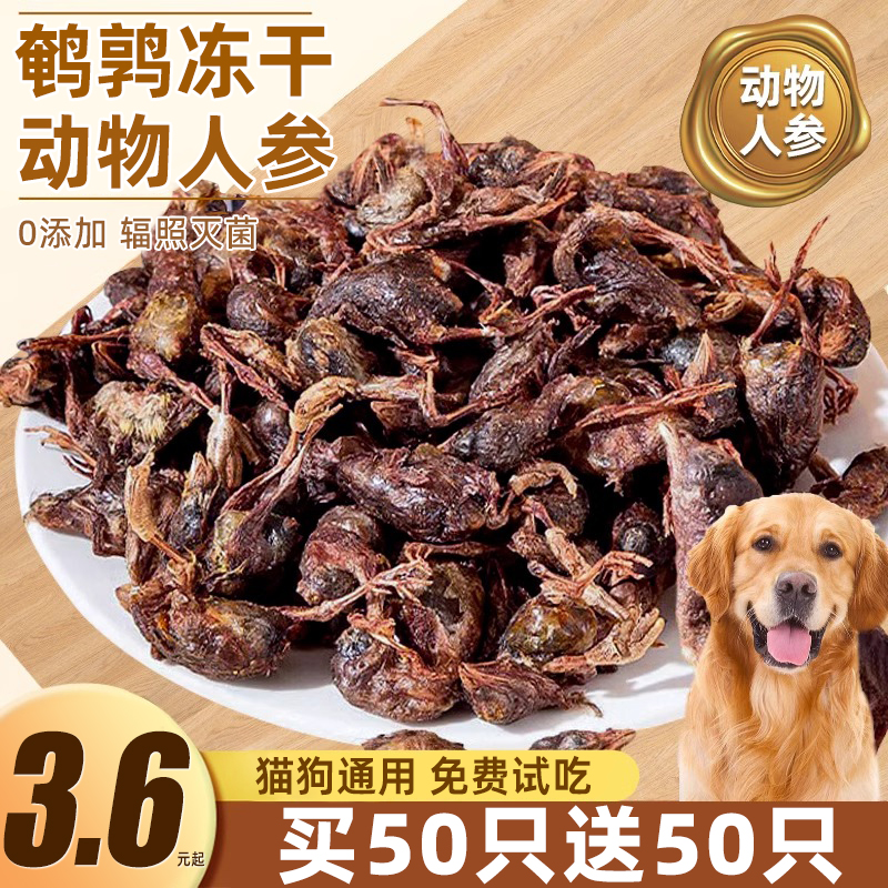 冻干鹌鹑磨牙补钙动物人参