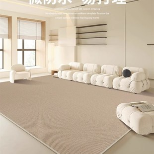 轻奢高级奶油风卧室地 硅藻丝地毯防f水防污可擦免洗客厅2023新款