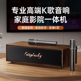 金运v1蓝牙音箱家庭ktv音响套装智能点歌机家用功放一体麦克风K歌