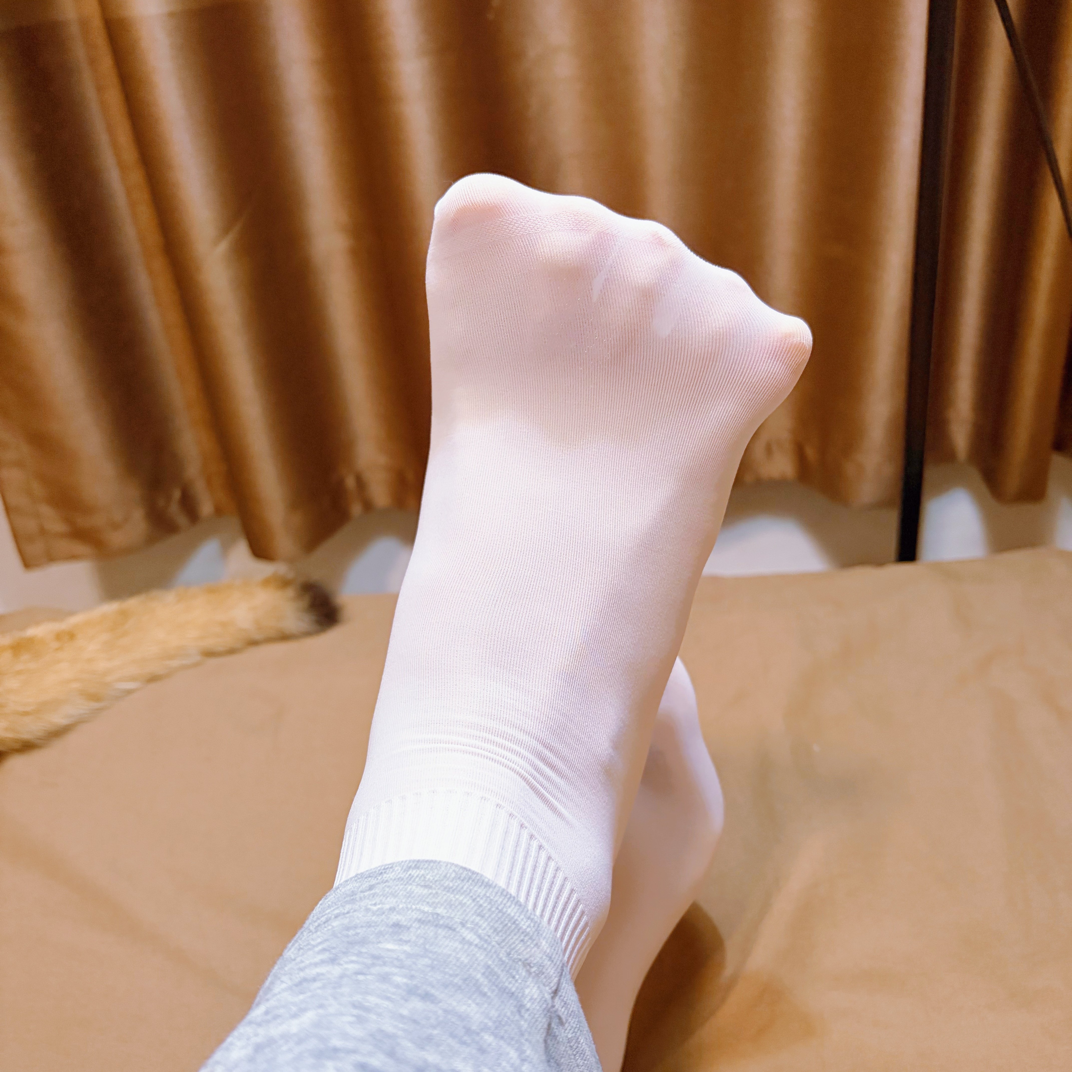 冰丝袜子短款夏季薄款天鹅绒丝袜黑白色中筒配凉鞋小皮鞋