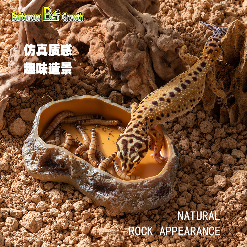 爬宠喂食盆黄缘龟陆龟蜥蜴守宫饮水盆环境造景喂食器仿真岩石水盘