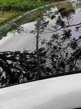 Wind Sealing Strip Dustproof Black 285cm Sunroof Noise  Tesl