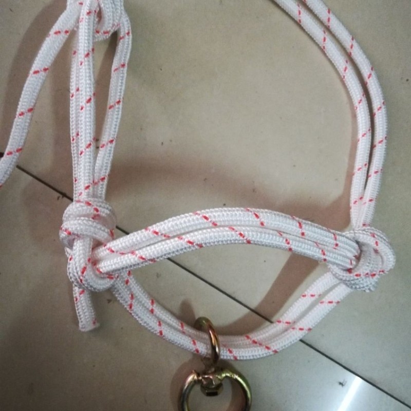 牛笼头缰绳马牛项圈纯手工编织牛笼头套小牛拴牛绳子牛笼头套大牛