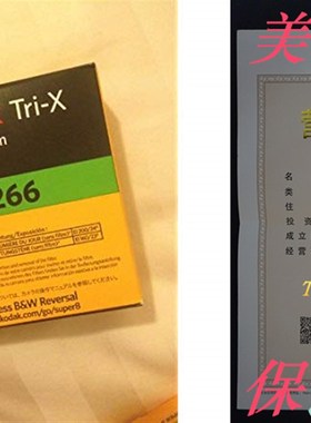 Kodak TXR-464 Tri-X Reversal Black & White, Silent Super