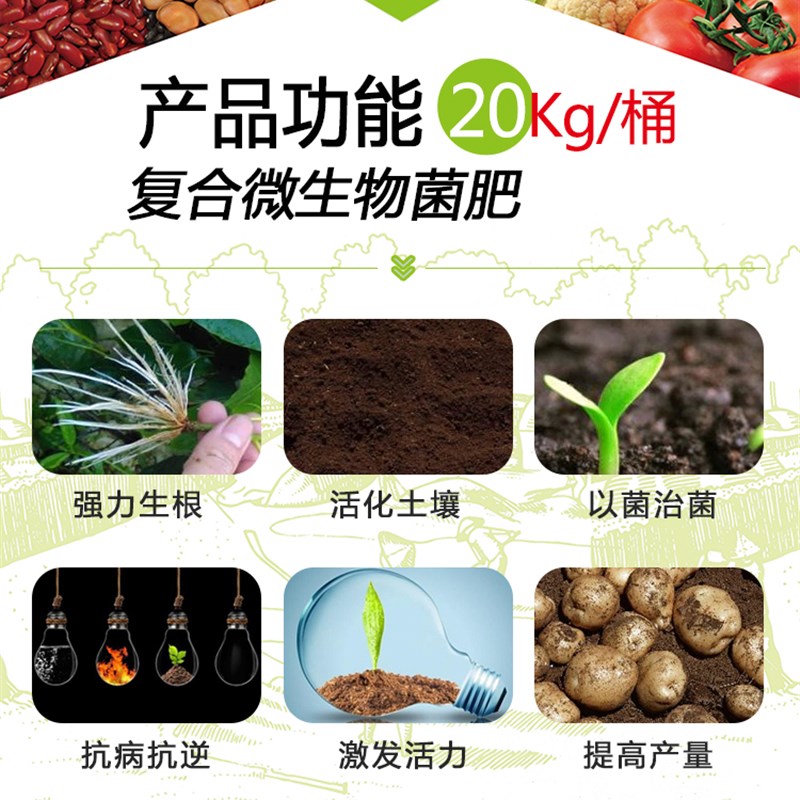 微生物菌剂枯草芽孢杆菌桶冲施肥抗重茬改良土壤预防根腐根结线虫