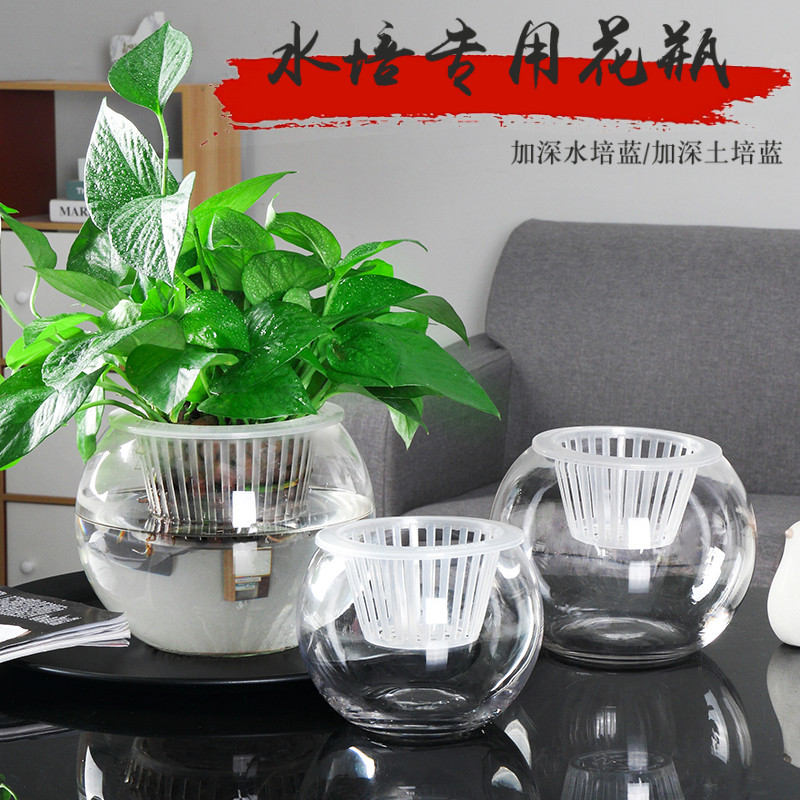 速发水培植物玻璃瓶 水培绿萝植栽花盆透明花瓶器件水养盆物容器