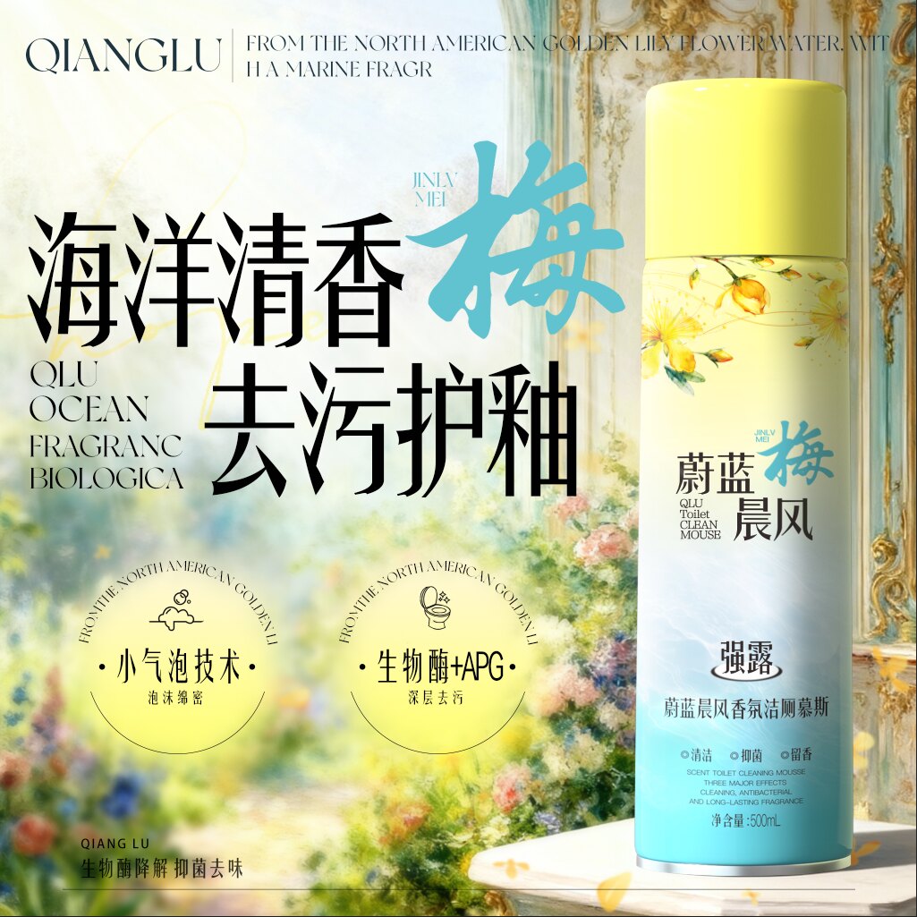 清香慕斯泡沫洁厕剂*500g
