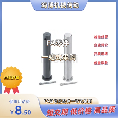 铰链销 SHCLGHN/GSHCLGHN10/12/13/14/15/16/17/18/20/22/25-200