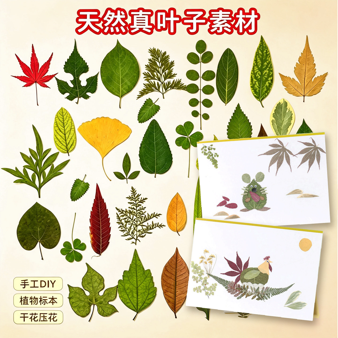 真树叶创意粘贴画手工diy材料包夏日儿童自然植物标本落叶拼贴画