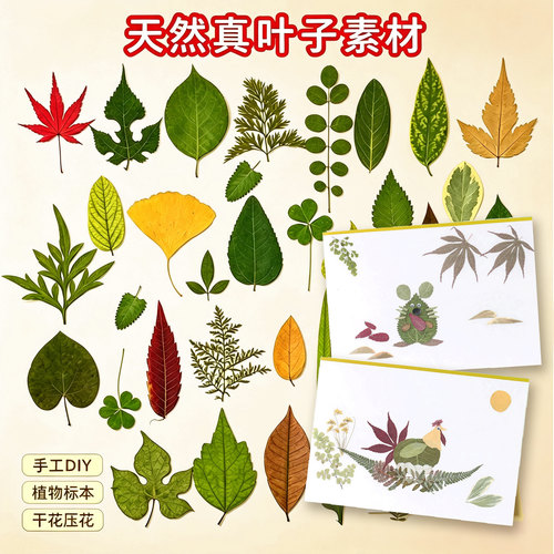 创意手工真树叶粘贴画diy材料包
