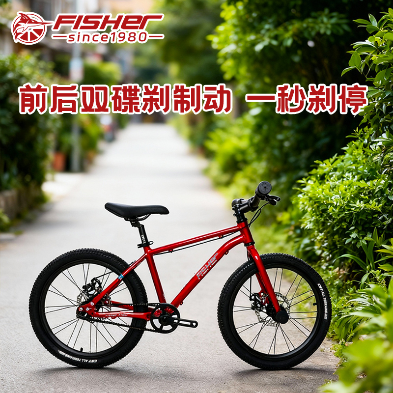 飞鱼20寸碟刹超轻自行车