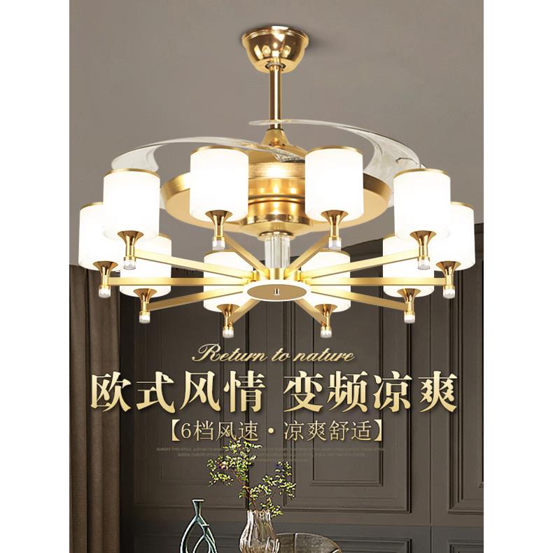 语音控制205新房客厅吊扇灯现代无障碍豪华餐厅卧室风扇灯吊灯集