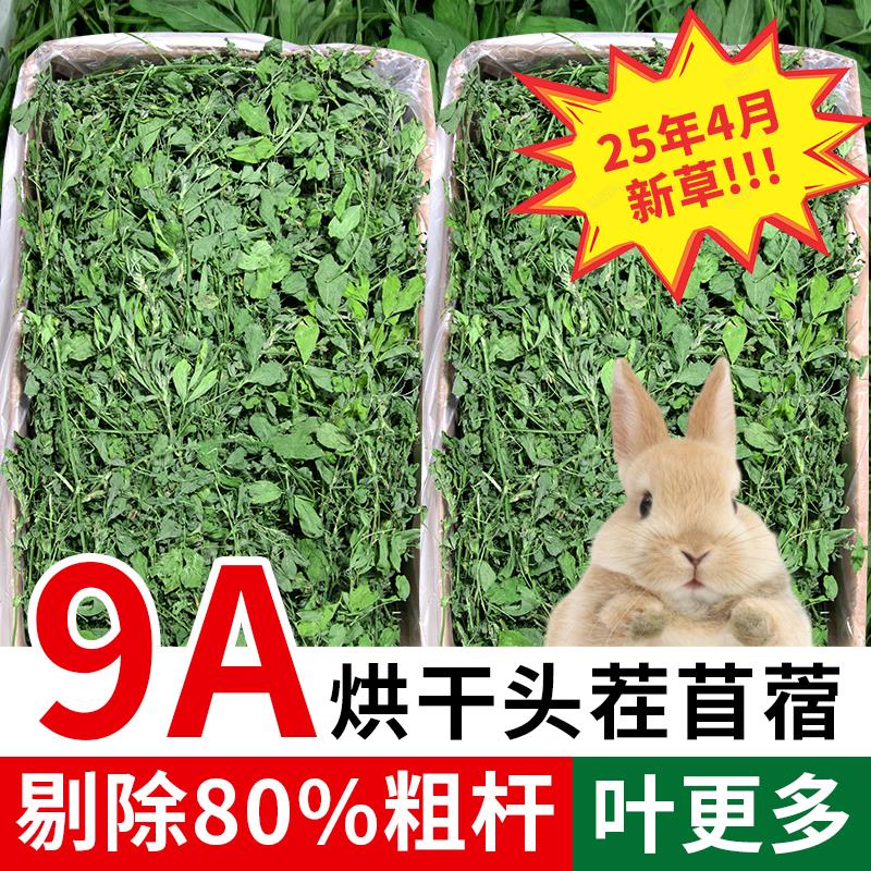 苜蓿草兔子烘干苜蓿草干草幼兔兔粮龙猫粮食豚鼠干草荷兰猪牧草