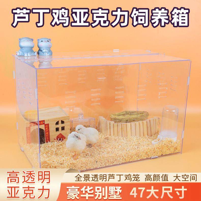 47亚克力芦丁鸡笼芦丁鸡饲养箱全透鸟笼卢丁鸡饲育箱鸽子笼全景,宠物/宠物食品及用品,宠物鸡/鸭/鸽笼,淘宝优惠券,粉丝福利购,淘宝优惠卷