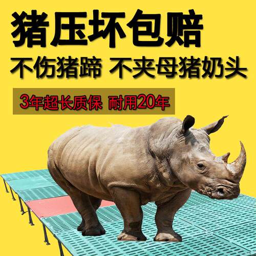 猪用漏粪板覆合漏屎板母猪产床定位栏仔猪保育床分娩床用电热板厂