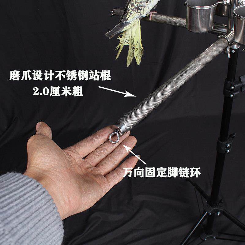 虎皮牡丹玄凤四鸟鹦鹉站架 中小型不锈钢鸟架饲养架子中小型鹦鹉