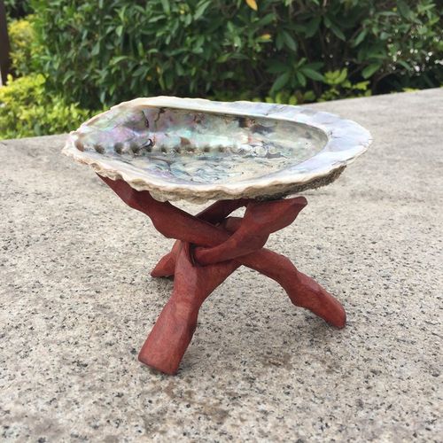 速发未非鲍鱼贝壳南抛光原贝创容家居装饰品鱼缸造景烧鼠尾草意器