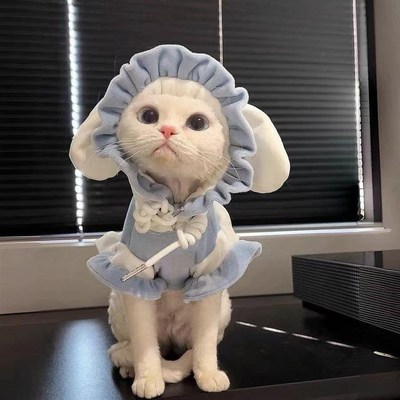 速发猫咪玩偶搞怪泰服马冬加绒款卫衣衣迪比熊秋尔济斯可爱衣服