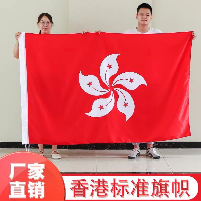 中国香港区旗4号香港港旗帜定制紫荆花旗不褪色户外装饰3号2号5号